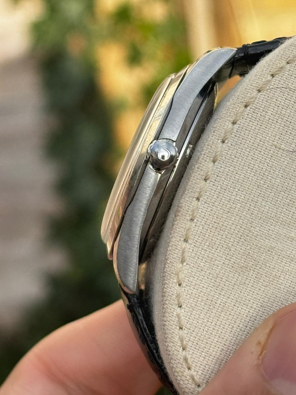 Omega Seamaster